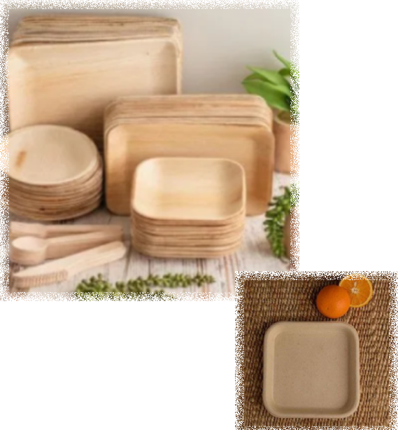 Tableware Products Manufacturers In Allipura